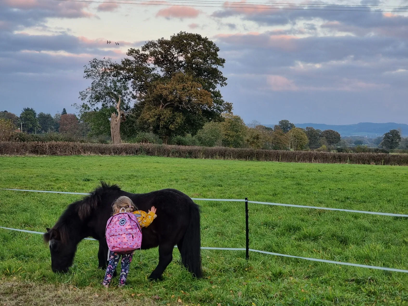 Rose hugging Orville the pony