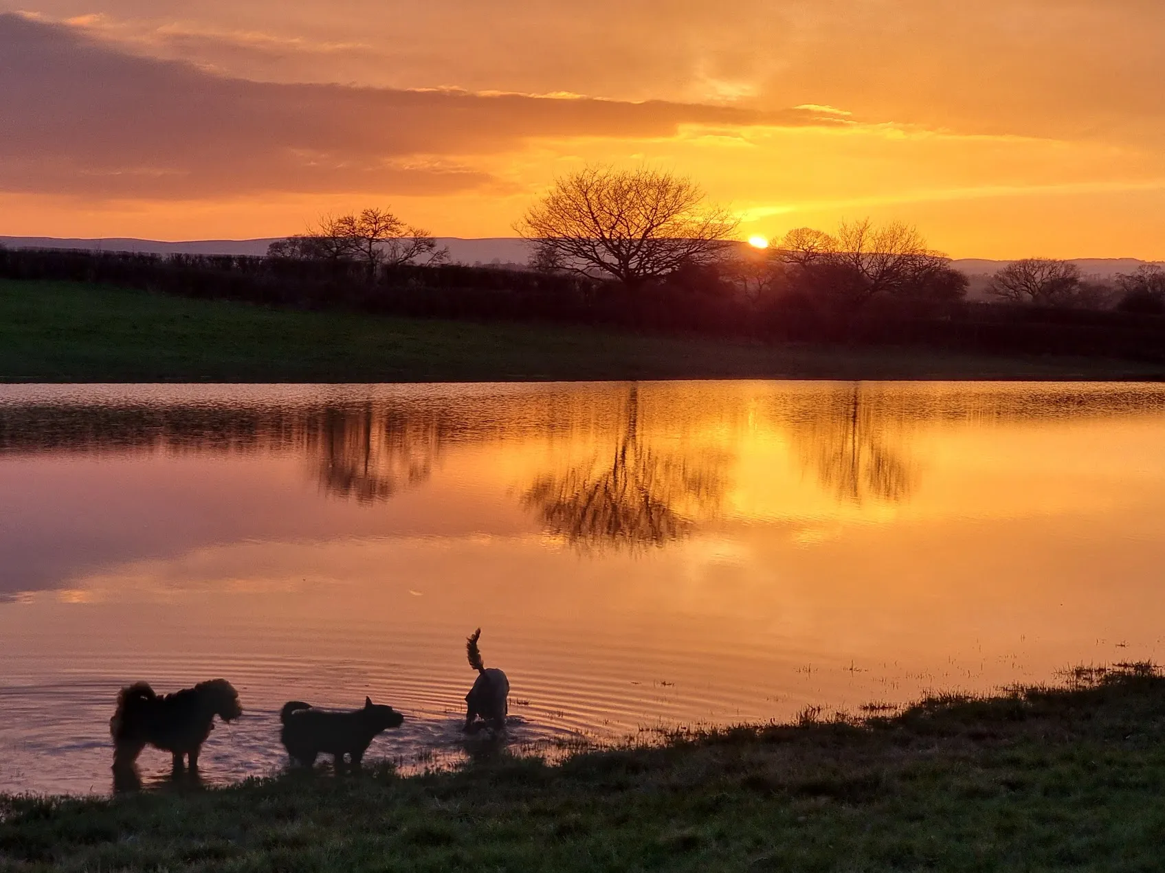 A winter sunset over the river