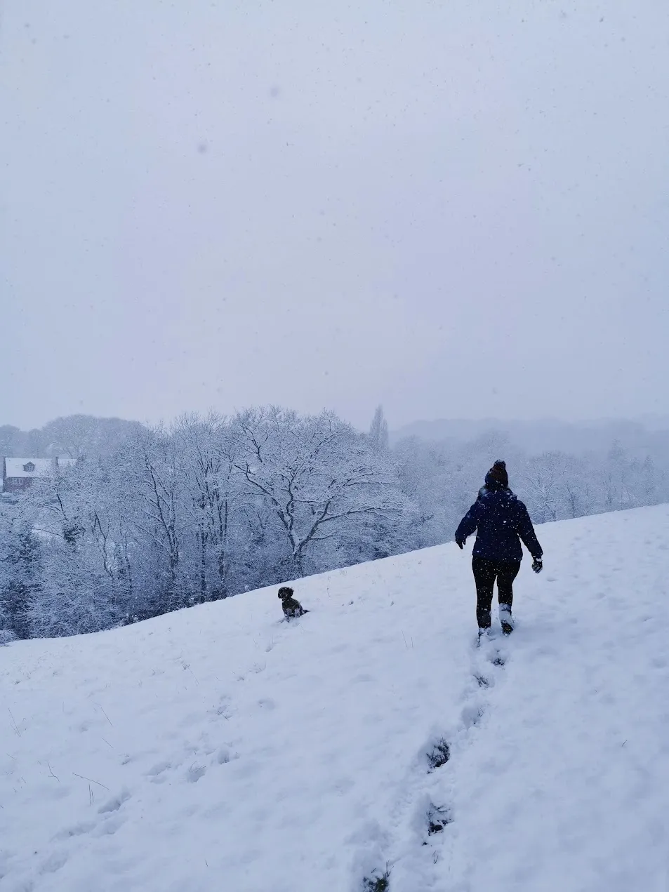 A snowy winter path for a family walk